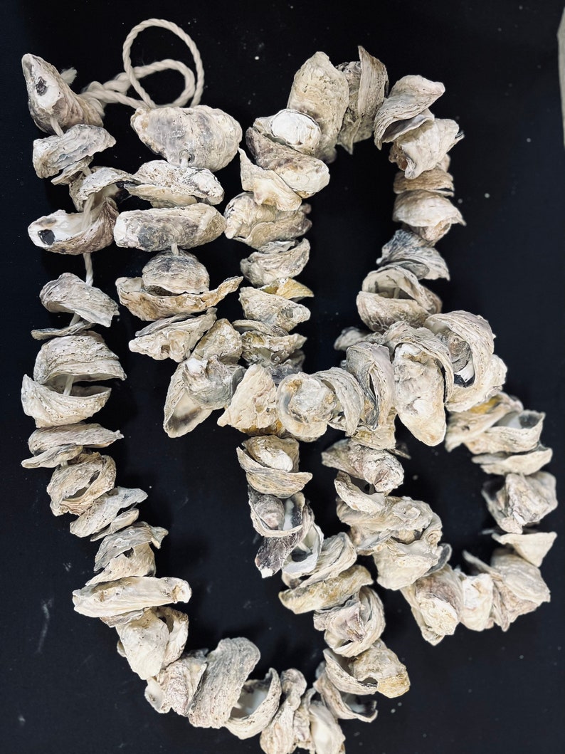 6 Oyster garland image 1