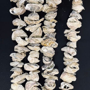 6 Oyster garland image 2