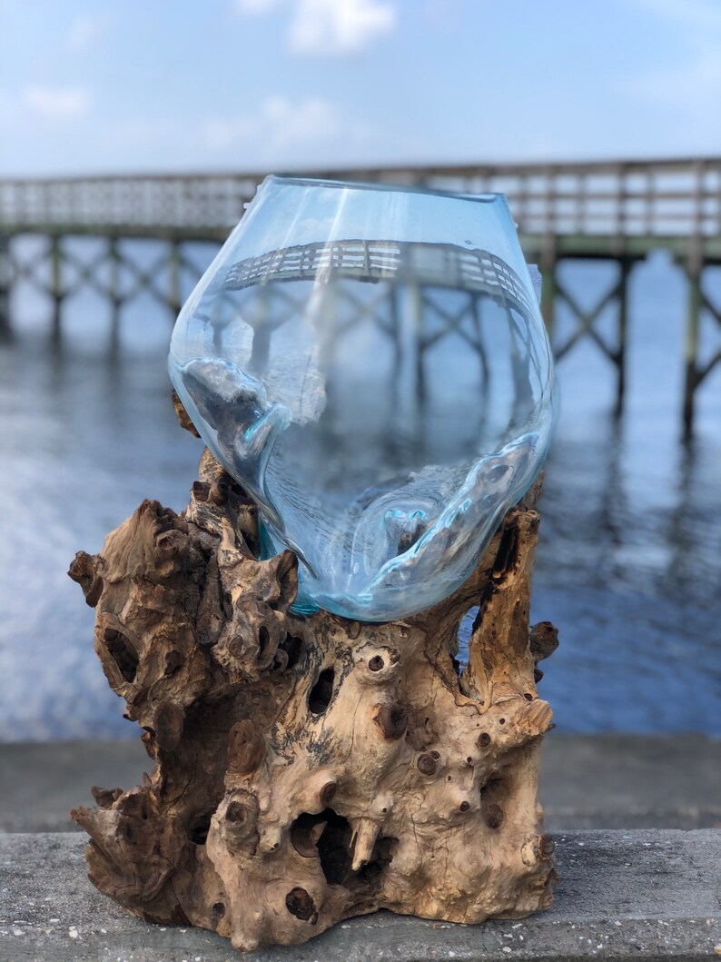 Blown glass on driftwood base Home & Living Home Décor