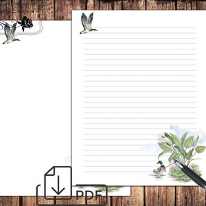 Bird illustration letter writing set,printable letters stationary,unlined lined paper