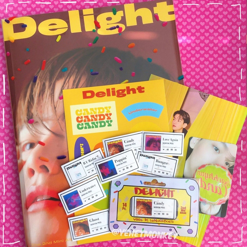 BAEKHYUN Delight Album Kpop Journal Stickers  Etsy