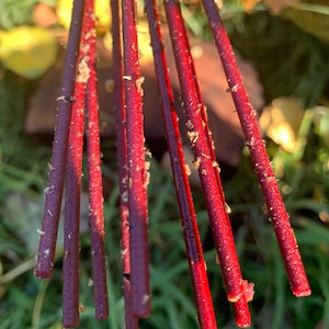 Home Blessing" - Viking Incense Sticks x 9