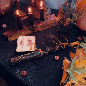 Spirit Summoning | Norse Pagan Incense Sticks x 9 w/ Glass Container Leather | Suede | Moss | Earth | Smoke