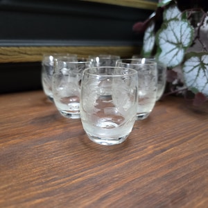 6 schnapps glasses - liqueur glasses Josephinenhütte with hunting and animal motifs -, cut - era 1950s/1960s