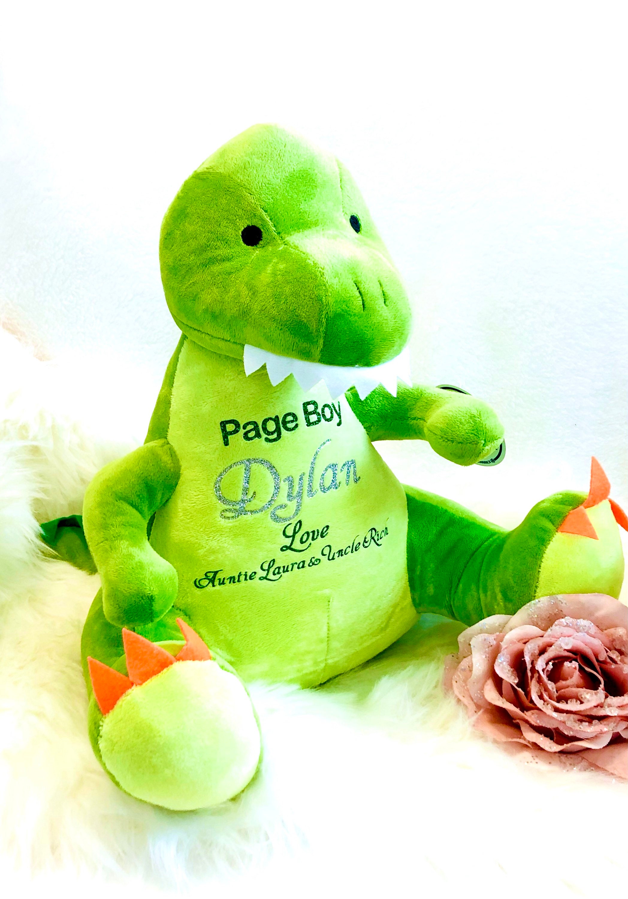 Personalised Dinosaur Teddy, Page Boy proposal, Page Boy Gift, Soft T…