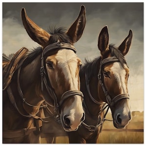 Mule Team - Poster, Canvas, Aluminum and Wood