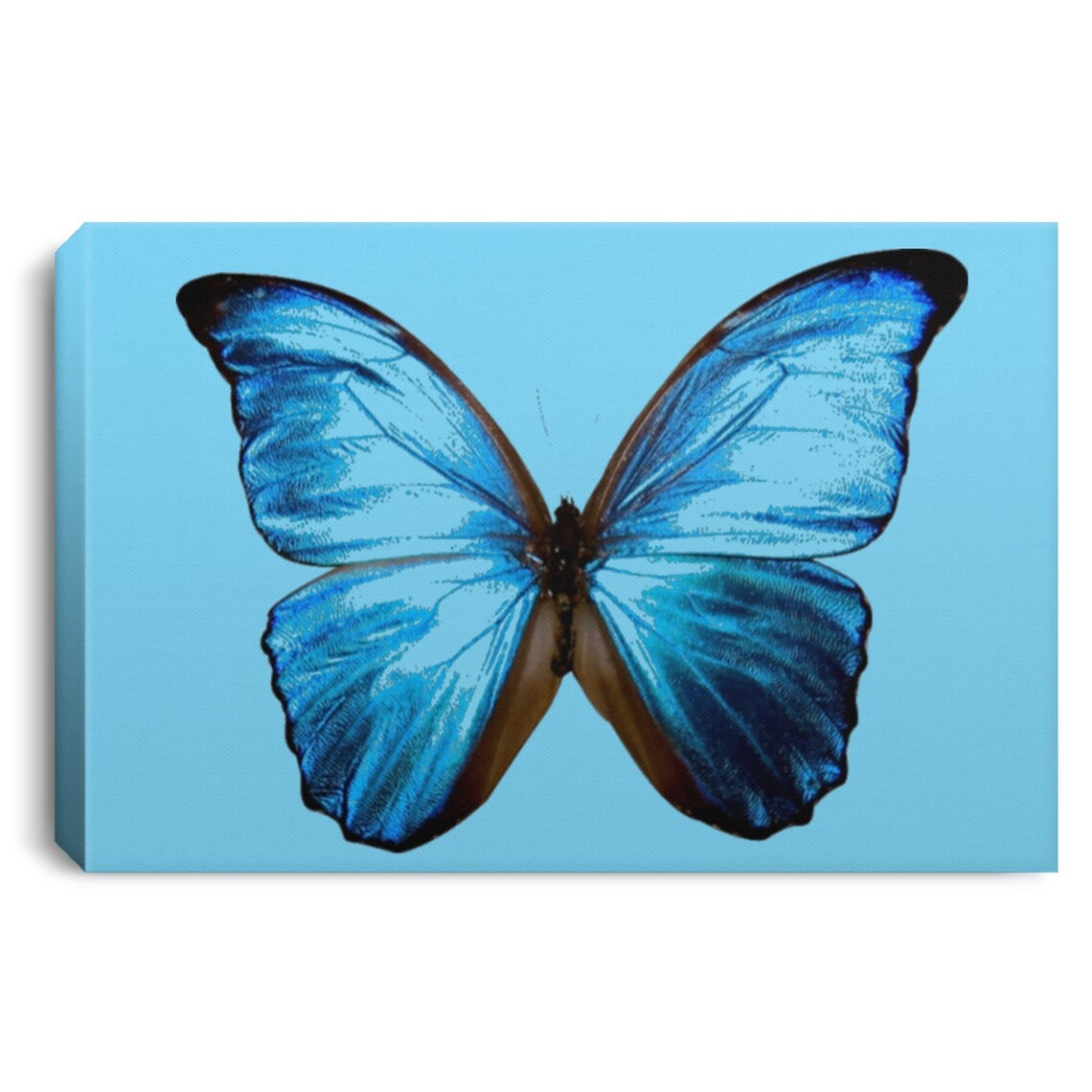 Schmetterling Landschaft Leinwand.75in Rahmen - Etsy.de