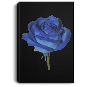 Blue Rose Portrait Canvas .75in Frame
