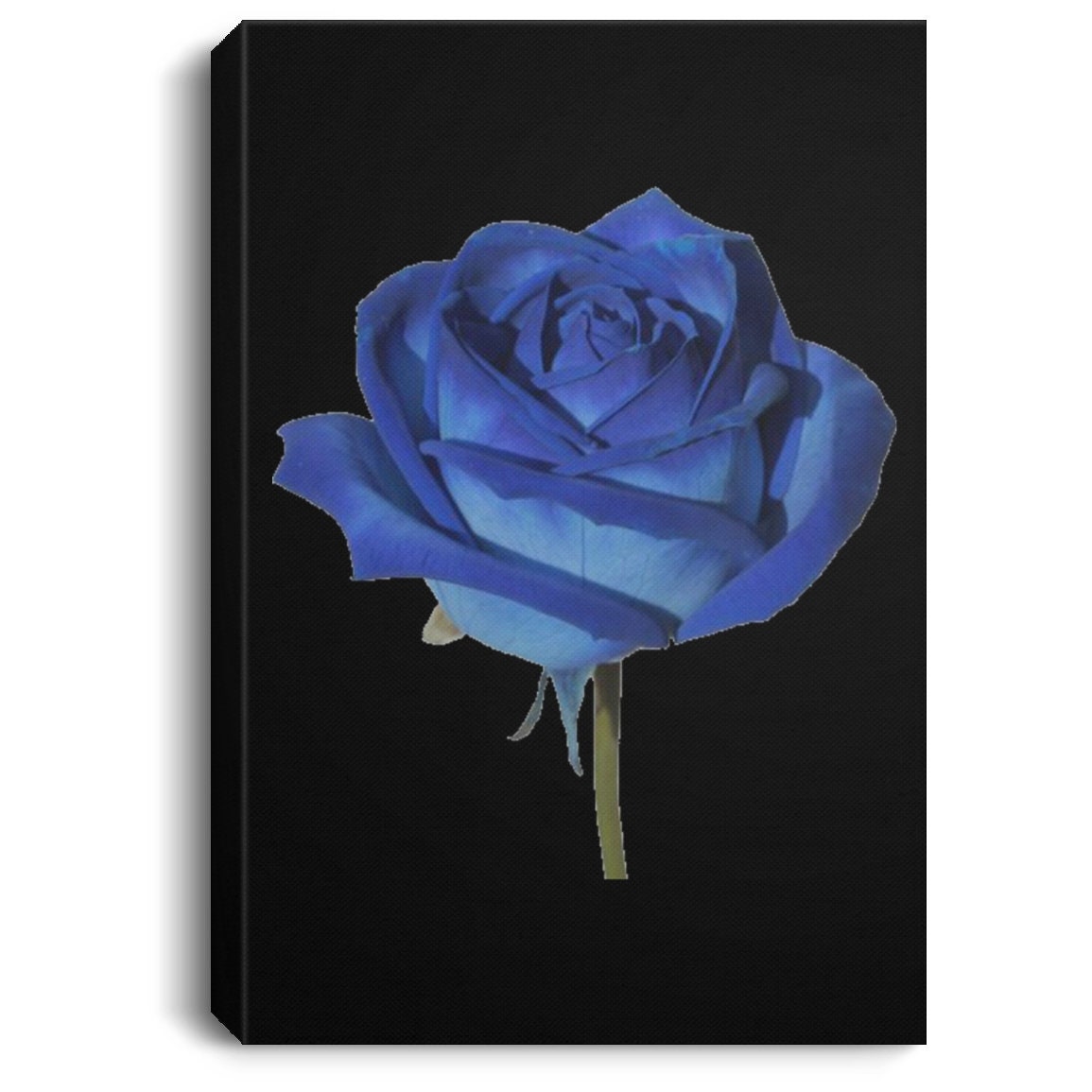 Blue Rose Portrait Canvas .75in Frame - Etsy