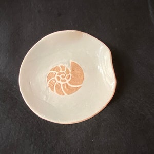 May include: A small, white ceramic dish with a raised, brown seashell design. The dish is ideal for holding small items such as jewellery or keys.