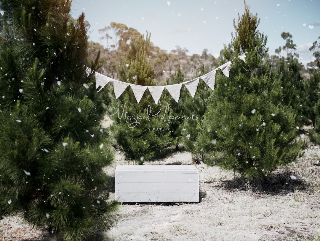 Winter Christmas Tree Farm Digital Background. Family Couples - Etsy