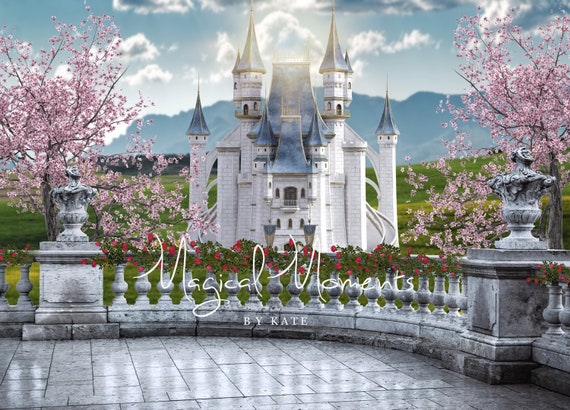 princess belle castle background