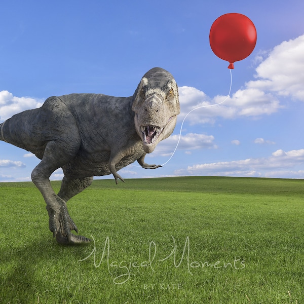 TWO Dinosaur Digital Backgrounds! Birthday Dinosaur with Balloon Backdrops for photographers. INSTANT DOWNLOAD!