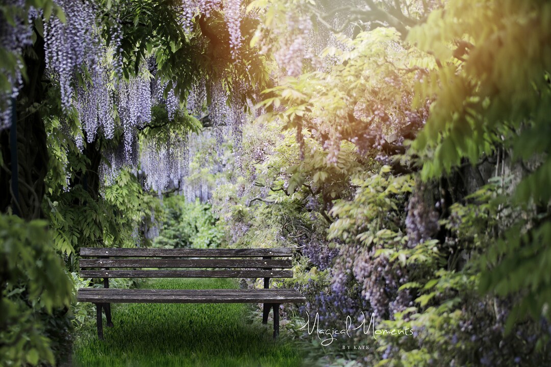 Beautiful Spring Digital Background. Garden Backdrop. INSTANT DOWNLOAD ...