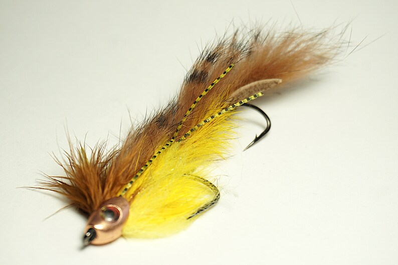 Baby Brown Trout Streamer Etsy