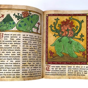 Pokemon Illuminated Manuscript Medieval Pokemon Book image 3