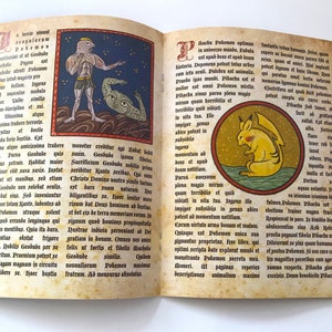 Pokemon Illuminated Manuscript Medieval Pokemon Book image 5