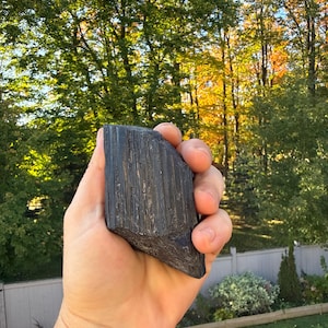 Può includere: Un grande cristallo di tormalina nera grezza, di colore scuro e striato, tenuto in mano. Lo sfondo sfocato mostra alberi verdi e foglie autunnali.