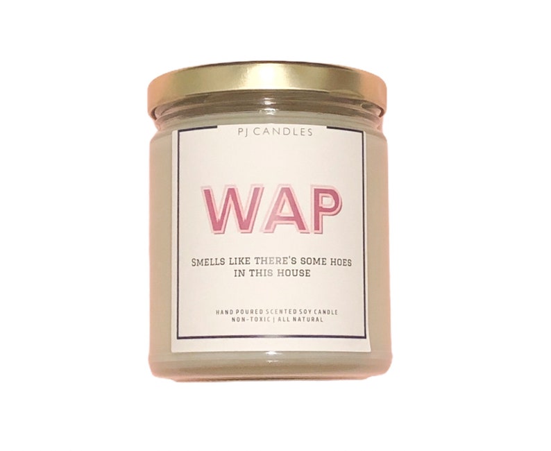 WAP Smells like there's some hoes in this house Cardi image 0