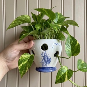 May include: A white ceramic planter with a blue and white windmill design, holding a green and yellow pothos plant. The planter has three circular holes and a blue base. The plant's leaves are heart-shaped and variegated.