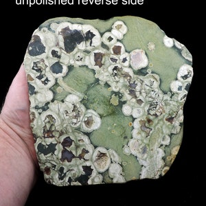 Losa pulida de tamaño de gabinete extra grande de riolita | Etsy