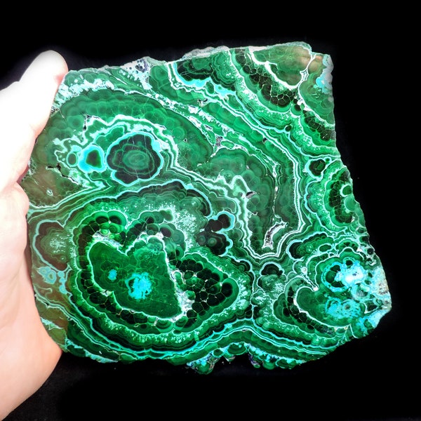 Striking extra large cabinet size polished slab with banded green malachite and sky blue chrysocolla - reads like a geology textbook