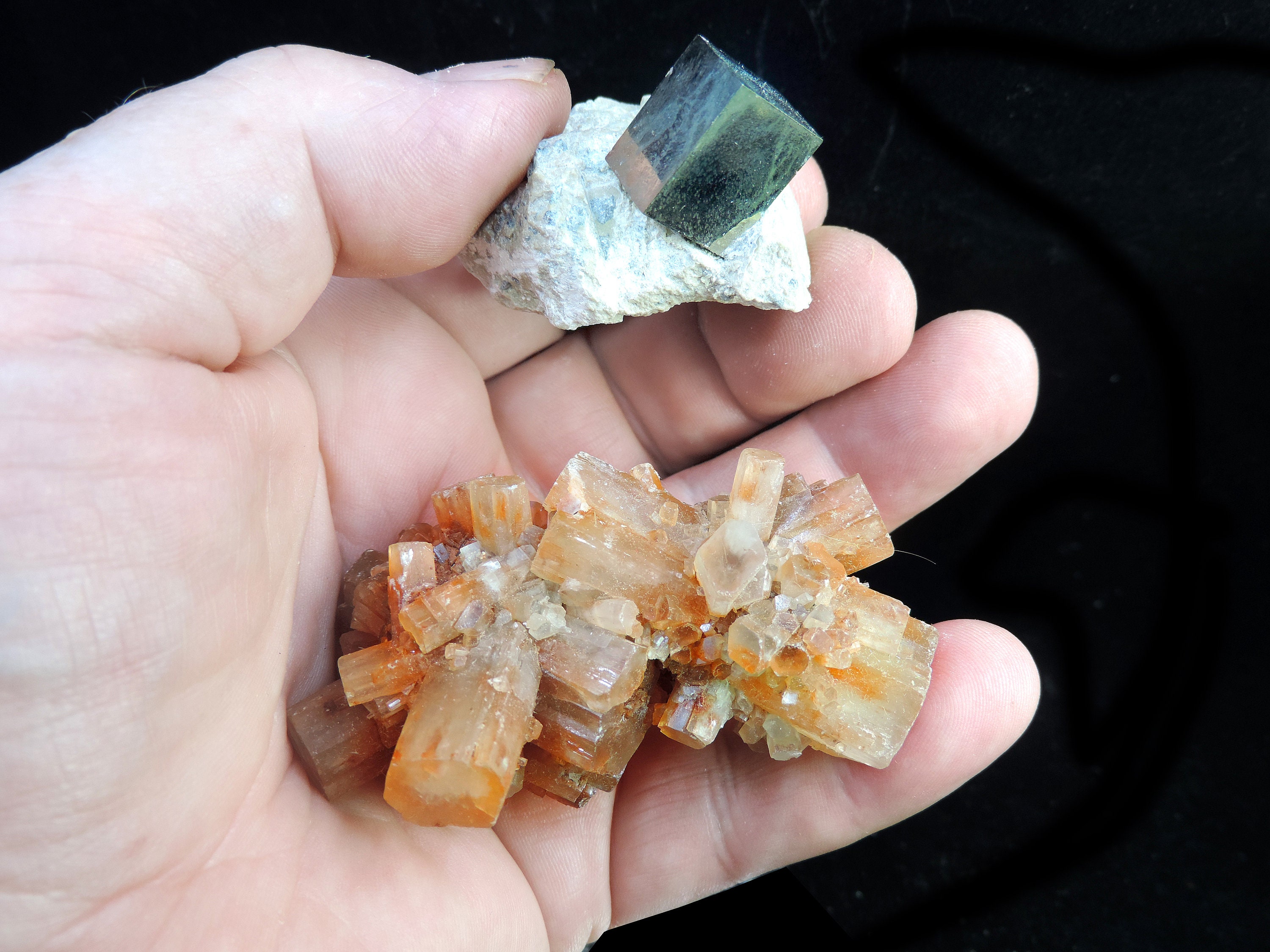 COLLECTION PACK - Ultimate Starter Pack With 10 Mineral Specimens