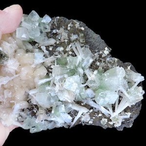 May include: A hand holds a mineral specimen with a dark gray matrix. The specimen features clusters of pale green and white crystal formations. The crystals have a glassy appearance and are clustered together.