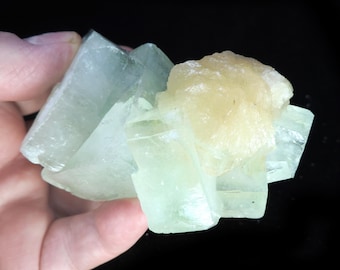 Op de afbeelding: Een cluster van lichtblauw-groene kristalformaties met een centrale, ruwe, geelbeige massa. De kristallen hebben een doorschijnende kwaliteit en de algehele structuur wordt in een hand tegen een zwarte achtergrond gehouden.