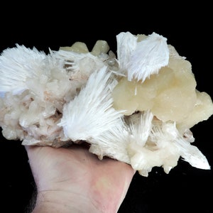 Pode incluir: Um aglomerado de cristais brancos e creme, assemelhando-se a uma geodo ou espécime mineral. Os cristais têm uma estrutura plumosa e radiante, com algumas áreas parecendo mais sólidas e outras mais delicadas. O fundo é preto.