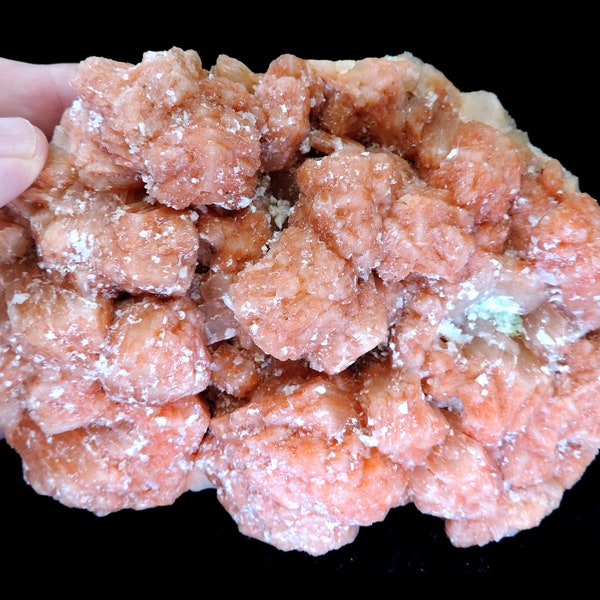 Striking large cabinet size block featuring aggregates of red stilbite crystals - unusual colour for stilbite