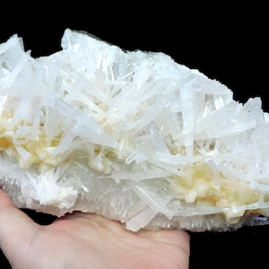 May include: A cluster of white selenite crystals with a delicate, feathery appearance. The crystals are arranged in a layered formation, creating a visually appealing and intricate display.