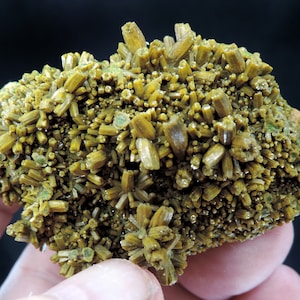 Puede incluir: Un cúmulo de cristales aciculares de color amarillo verdoso sobre una matriz rocosa. Los cristales están densamente agrupados y tienen una superficie rugosa y texturizada.
