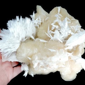 Pode incluir: Um aglomerado de cristais de selenite brancos e creme com textura fibrosa. Os cristais estão dispostos em um aglomerado, com alguns dos cristais formando uma forma de leque.