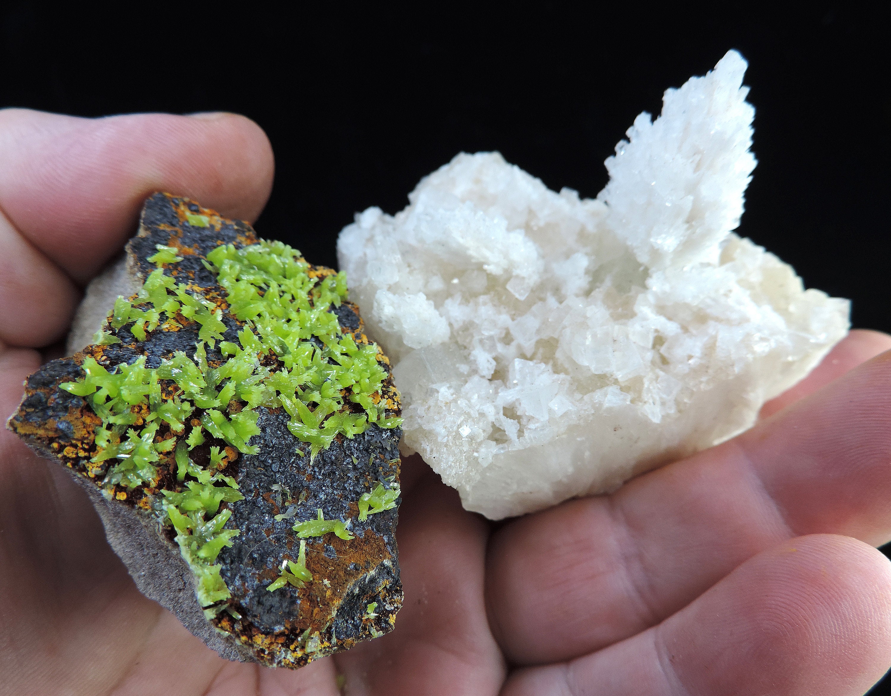 COLLECTION PACK - Ultimate Starter Pack With 10 Mineral Specimens