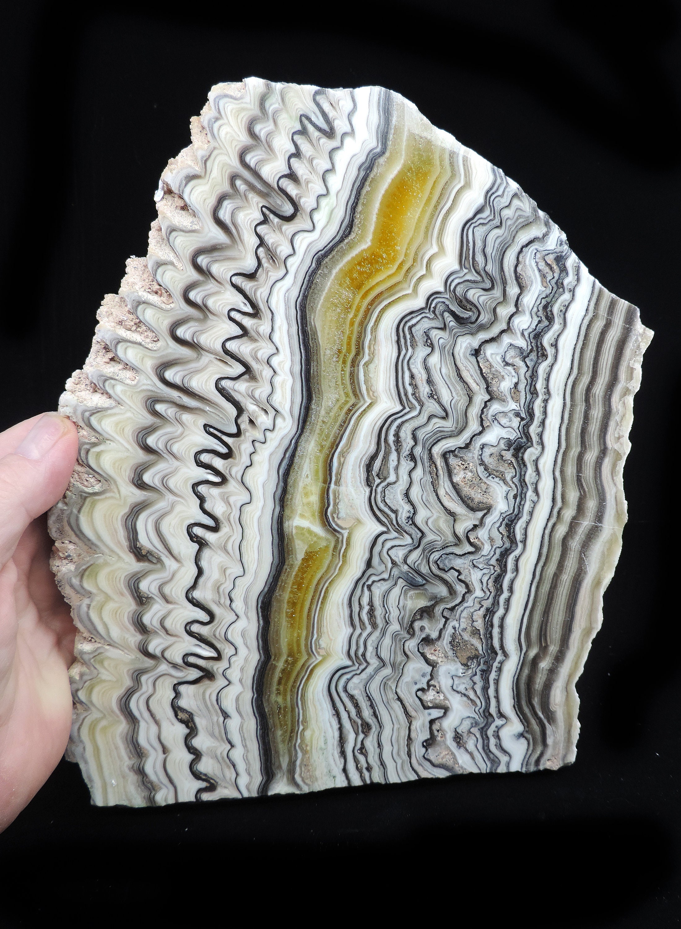 Huge Polished Slab Featuring Finely Banded White, Black and Orange ...