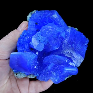 May include: A large cluster of vibrant blue crystals, with a rough, textured surface. The crystals are arranged in a random, organic pattern, creating a visually striking display.
