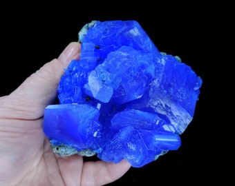 カルカンサイト結晶 - ラボで育成された青い硫酸銅 - ポーランド
