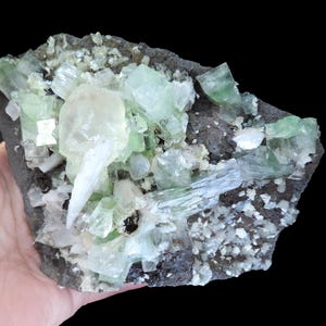 May include: A hand holds a piece of raw mineral. The mineral features clusters of pale green, translucent crystals and white, opaque formations. The crystals are set against a dark gray, rough matrix, with a black background.