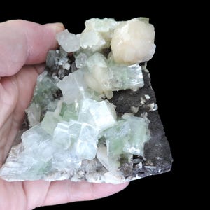 May include: A hand holds a mineral specimen featuring clusters of pale green and clear crystal formations. The crystals are set against a dark, textured matrix, with a few creamy white crystal clusters.