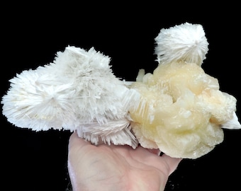 May include: A cluster of white and yellow selenite crystals. The crystals are in a variety of shapes and sizes, and some have a fibrous texture.