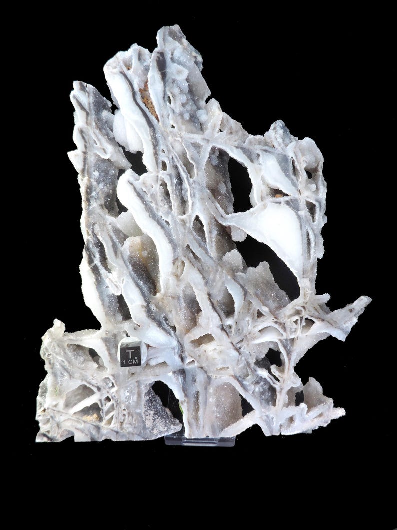 Stockwork On Rocks Extra Large Polished Slab Featuring Leached Quartz Vein Stockwork ...