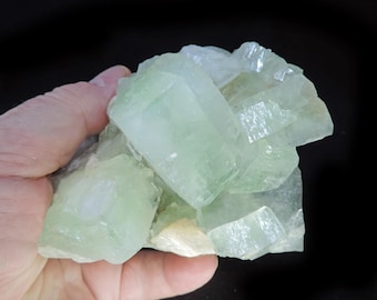 Op de afbeelding: Een cluster van lichtgroene kristalformaties, vastgehouden in een hand tegen een zwarte achtergrond. De kristallen hebben een doorschijnende kwaliteit, met zichtbare facetten en een enigszins ruwe textuur. De algehele vorm is onregelmatig en natuurlijk.