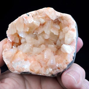 May include: A geode with a natural opening revealing a cluster of delicate, light orange crystals. The geode is a natural formation with a rough, brown exterior.