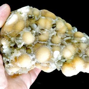 Amazing extra large cabinet sized block of orange thomsonite balls with showy &#39;fringes&#39; of white mesolite - rare collectors piece