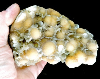 May include: A cluster of light yellow, spherical mineral formations with spiky, crystal-like structures. The mineral is held in a hand against a black background, showcasing its unique texture and color variations.