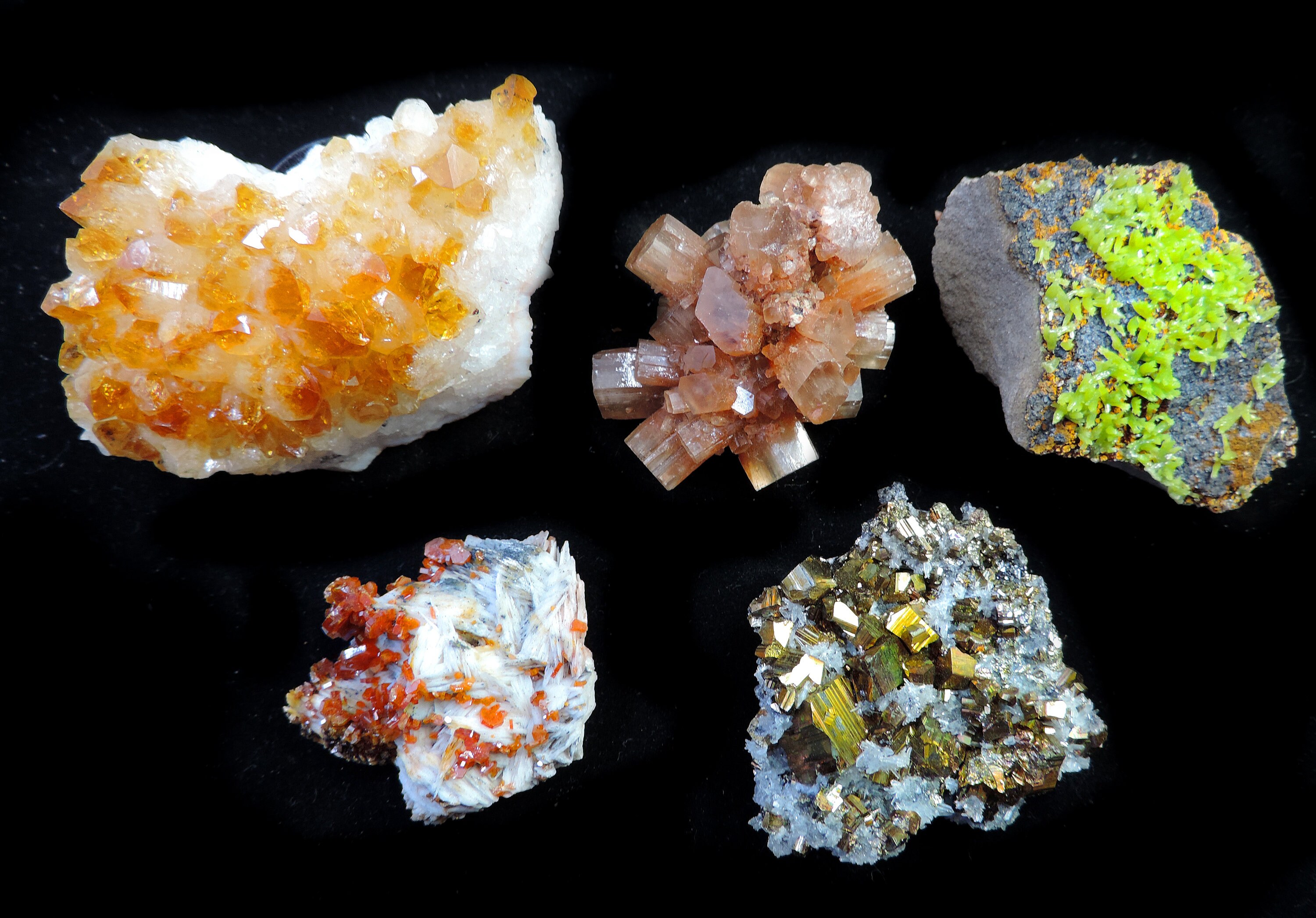 COLLECTION PACK - Ultimate Starter Pack With 10 Mineral Specimens