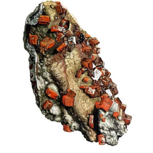 ジュラ紀のダクティリオセラスアンモナイト3体が重なり合った、珍しく