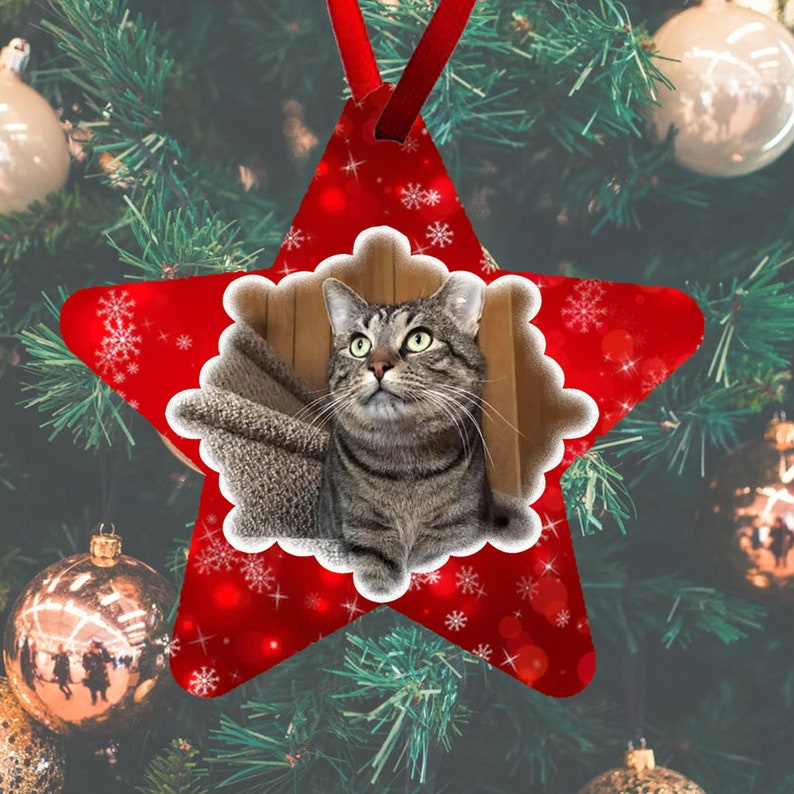 Cat Ornaments Custom photo cat ornament with snowflake | Etsy