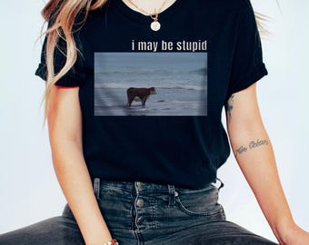 May include: A black short-sleeved t-shirt featuring a rectangular graphic print of a brown and white cow standing in the ocean surf. Above the image, the text "i may be stupid" is printed in a simple, white, sans-serif font.